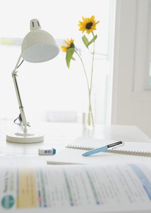 言葉と思いやりを英語キャンプで身につけましょう